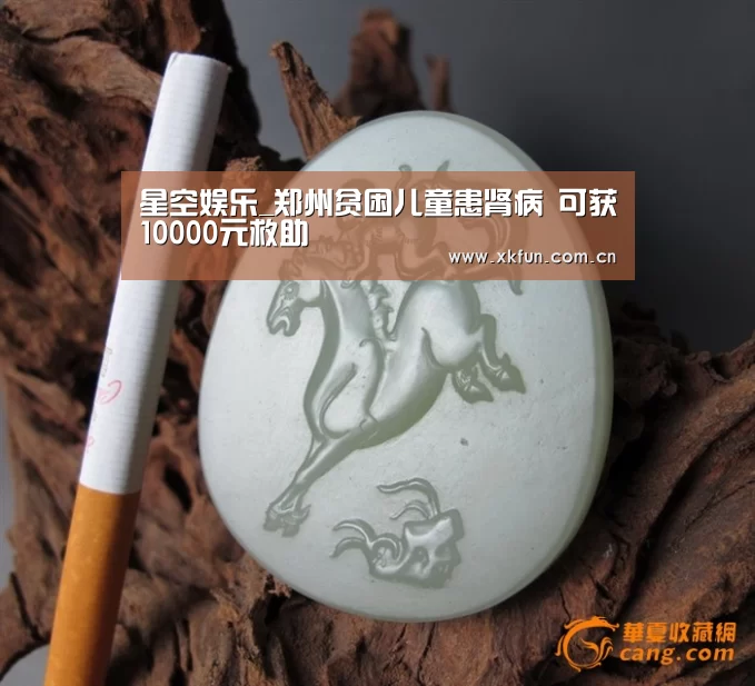 星空娱乐_郑州贫困儿童患肾病 可获10000元救助(图1) 星空娱乐官网