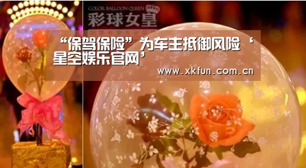 “保驾保险”为车主抵御风险‘星空娱乐官网’(图4) 星空娱乐app
