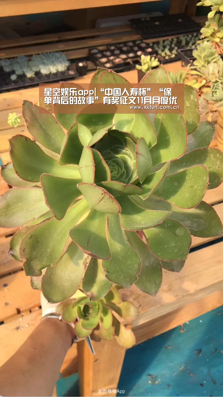 星空娱乐下载