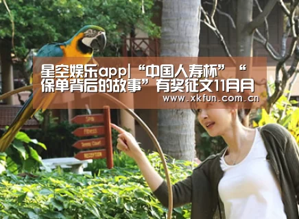 星空娱乐下载