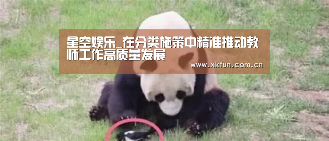 星空娱乐下载